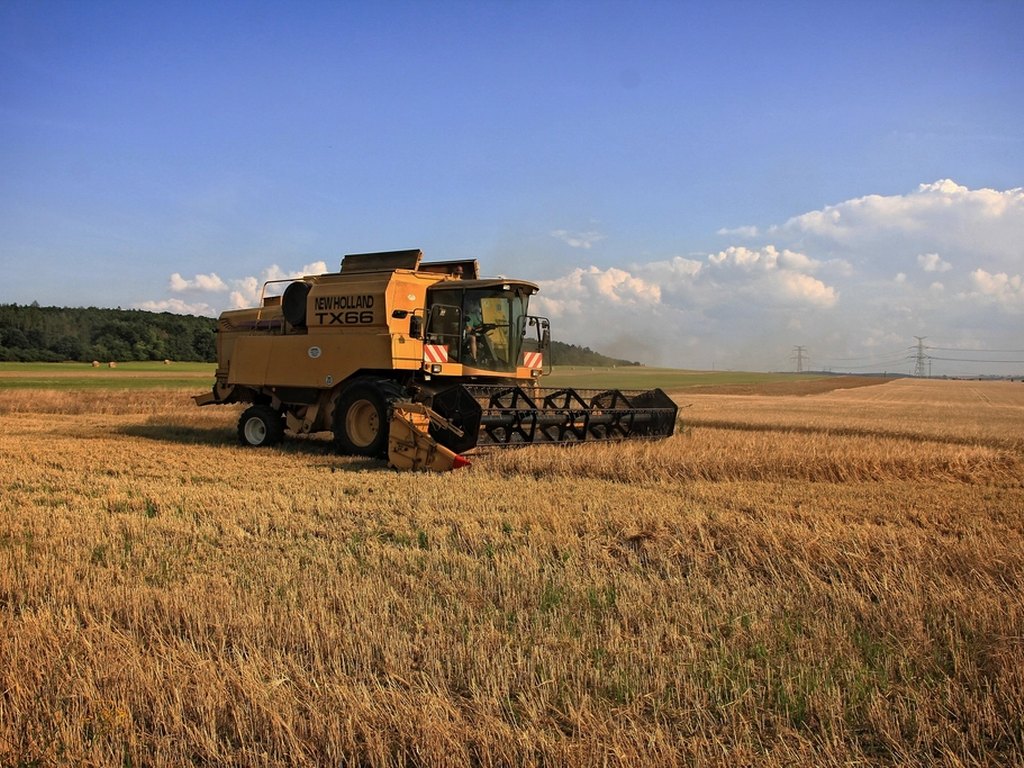 Case IH Axial-Flow 2166 Corte 23 pies · 4.800 h de uso