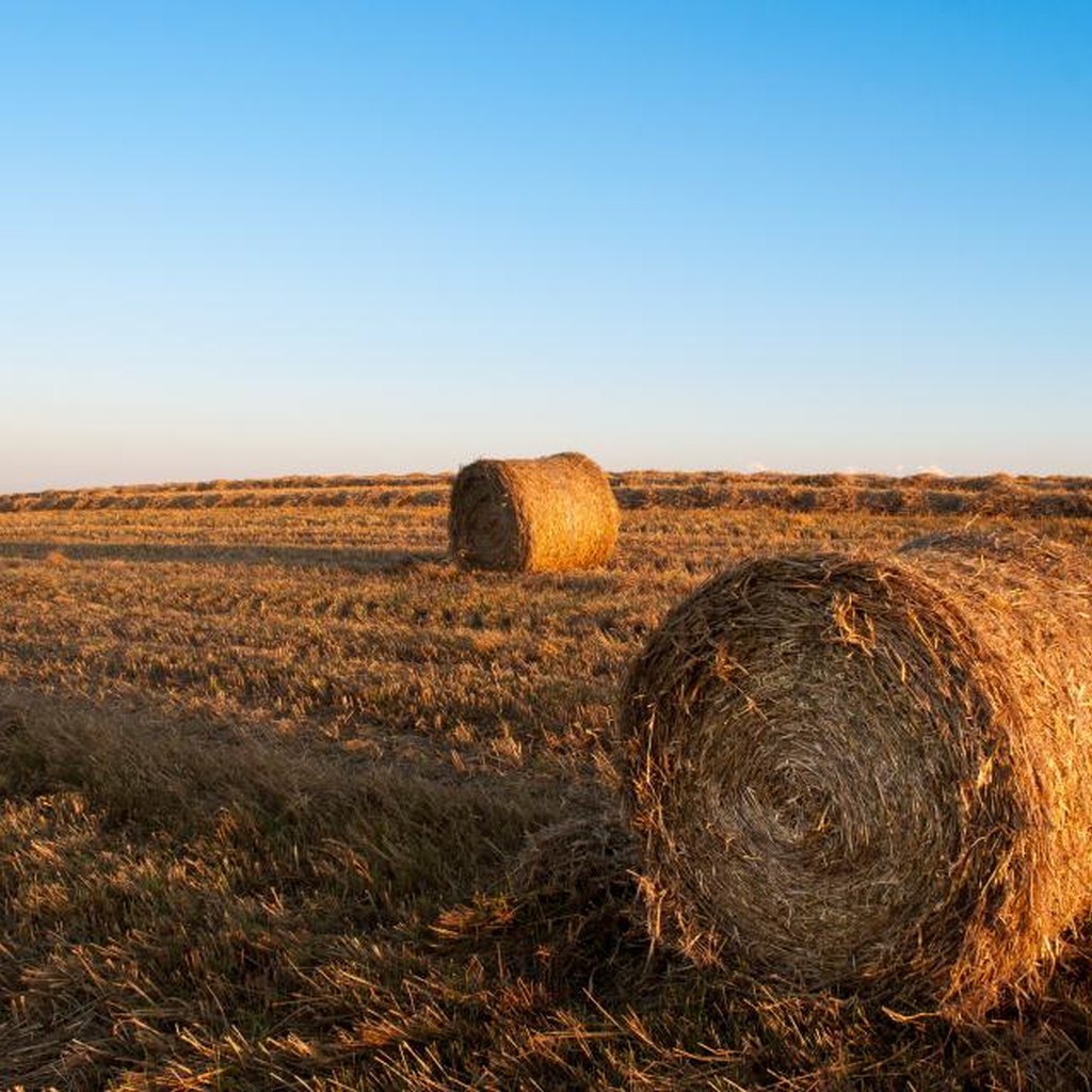 Maquinaria Agrícola y Camiones
